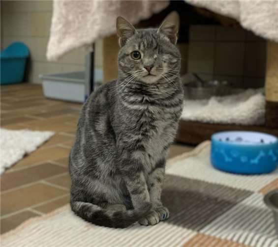 Das ist Waffel.  Foto: Claus Krah