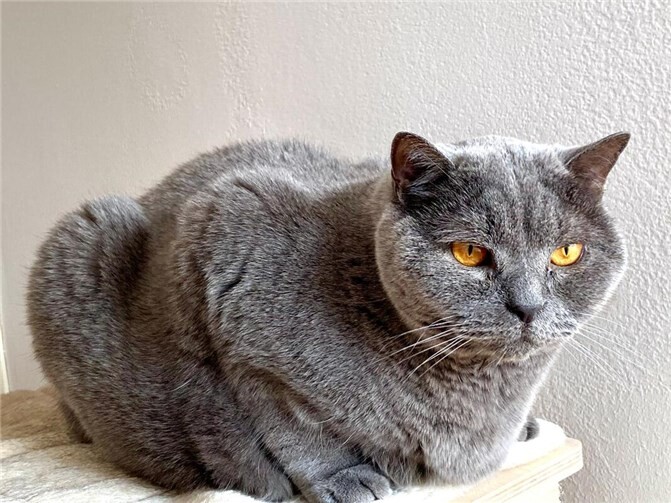 Das ist Watson.  Foto: privat