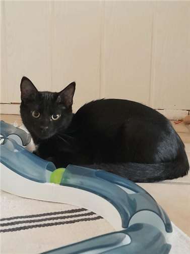 Das ist Winston.  Foto: privat