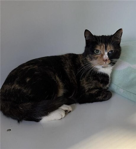 Das ist Zelda.  Foto: privat