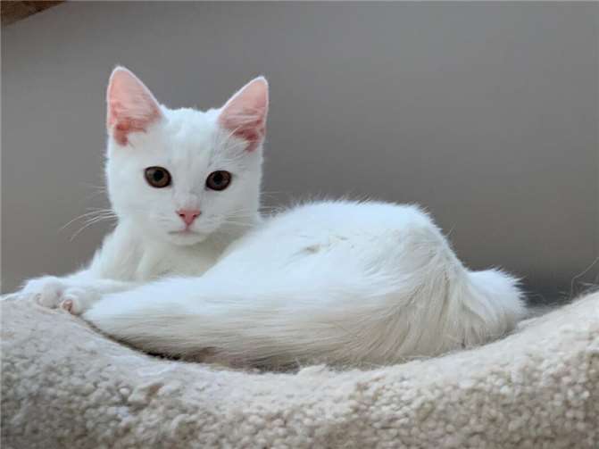 Das ist der kleine Ole. Foto: privat