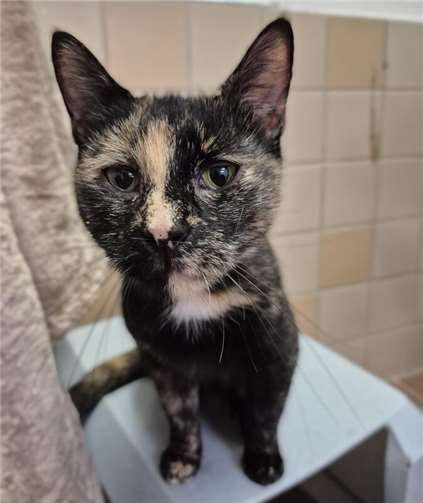 Das ist die kleine Twix.  Foto: Claus Krah