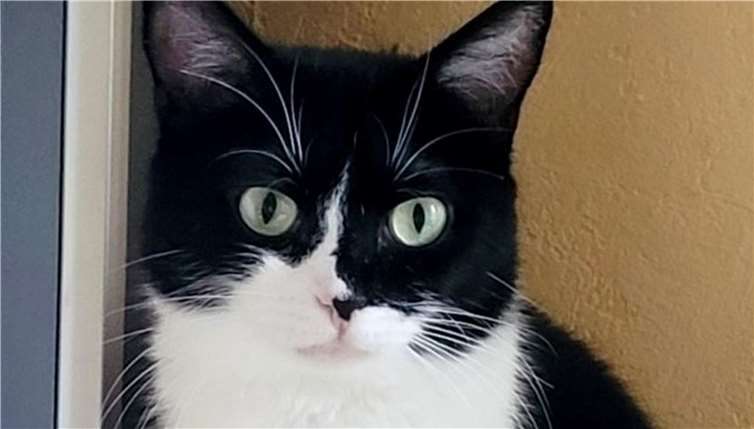 Das ist die süße Meggy.  Foto: privat