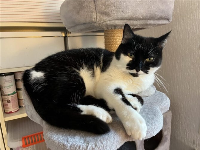 Das ist ein Franzi.  Foto: privat