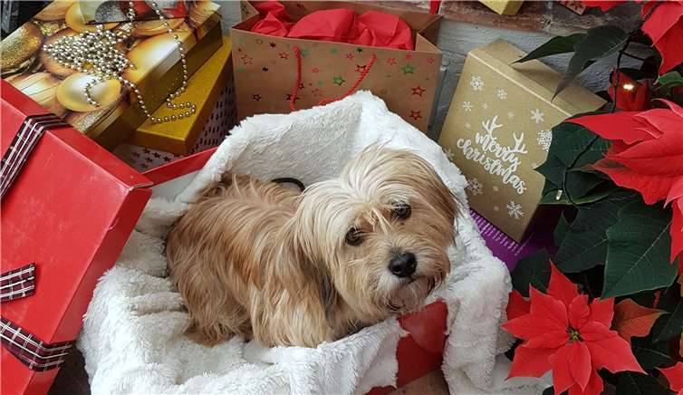 Das ist ein Paradebeispiel um zu zeigen wie es auf keinen Fall gemacht werden sollte.privat