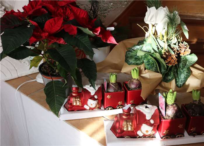 Das legendären Nikolauscafé kann in diesem Jahr nicht stattfinden.Fotos: Privat