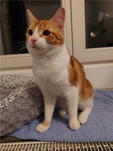 Das mit Pamuk.  Foto: privat