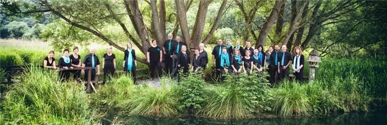 Das nächste Konzert des Chores Taktvoll findet am 12. und 13. November statt. Silvia Fink