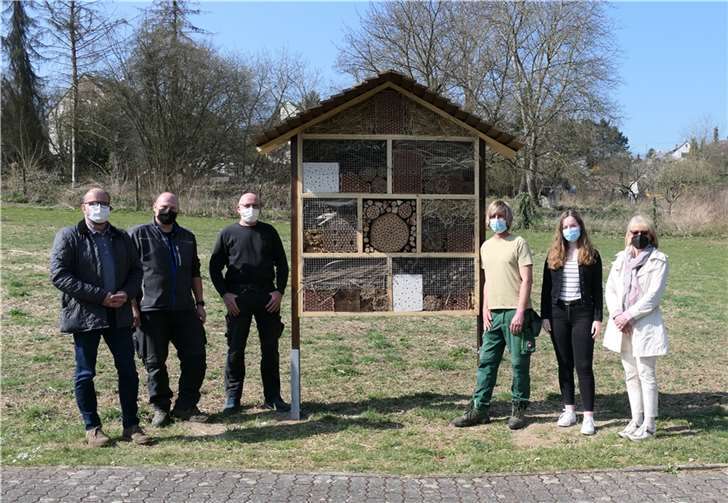 Das neue Insektenhotel. Quelle: Ortsgemeinde Kettig