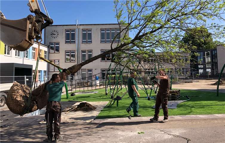 Das neue Klettergerüst ist im Hintergrund aus der Kunstrasenfläche zu sehen.Quelle: Stadt Koblenz