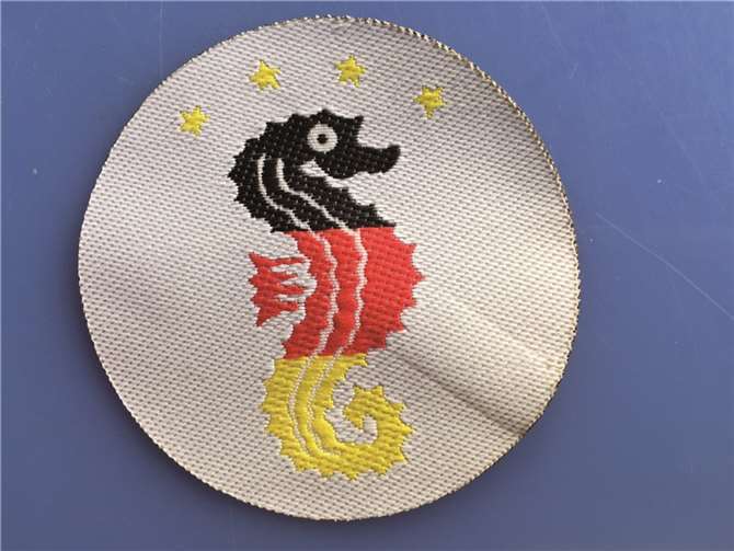 Das neue „Weltmeister-Seepferdchen“. privat