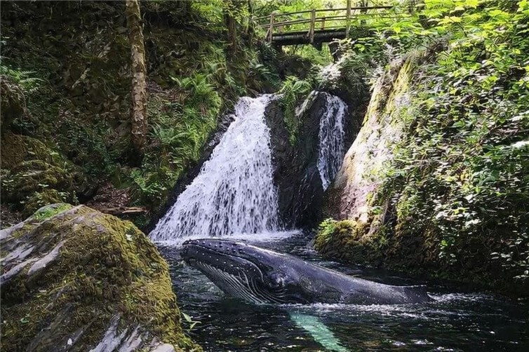 Das rätselhafte Tier beschäftigt die Behörden. Foto: privat