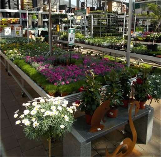 Das röhrig-bauzentrum präsentiert jetzt sehenswerte Sonderausstellungen, wie das große „Grill-Center“, wo es auch Neuheiten-Vorführungen und Verkostungen gibt.Privat