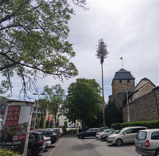 Das stolze Exemplar der Niederhut.