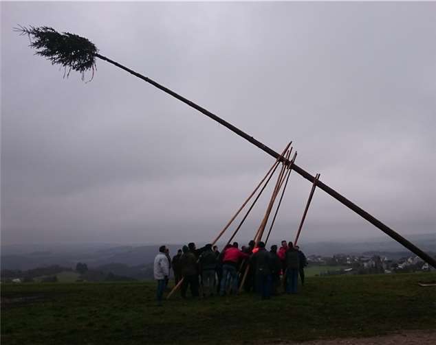 Das traditionelle Aufstellen des Kirmesbaumes war ein Höhepunkt des Festes. privat