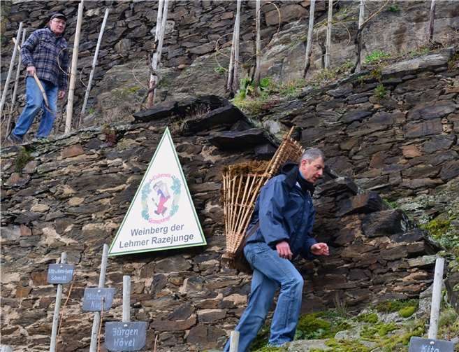 Das traditionelle Misttragen.Quelle: Lehmer Razejunge