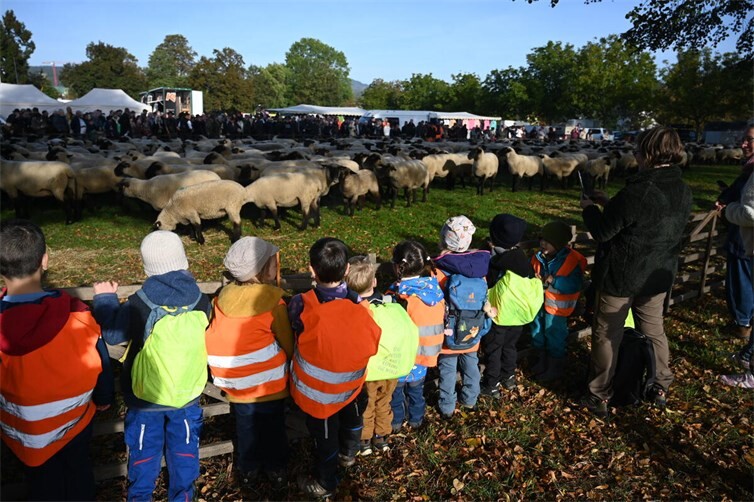 Das war doch mal ein Ausflug für den Kindergarten. Foto: SK