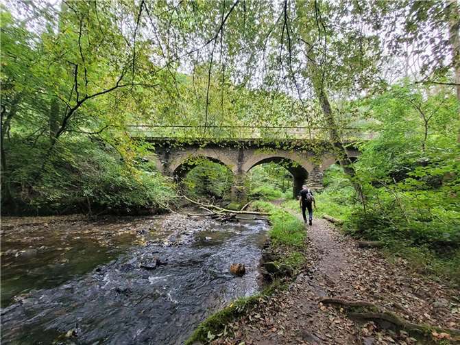 Das wildromantische Brexbachtal lud zum Wandern ein. Fotos: Stadt Bendorf