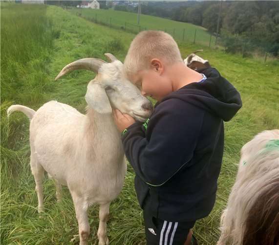 Dass Tiere treue und wunderbare Begleiter im Leben sind, ist kein Geheimnis. Gerade in Zeiten der Trauer können sie durch ihre Zuneigung Trost spenden. Im Rahmen einer Ziegenwanderung haben trauernde Familien die Möglichkeit, Freude zu erfahren, Energie zu tanken und in Austausch zu kommen. Foto: Christian Kucharz