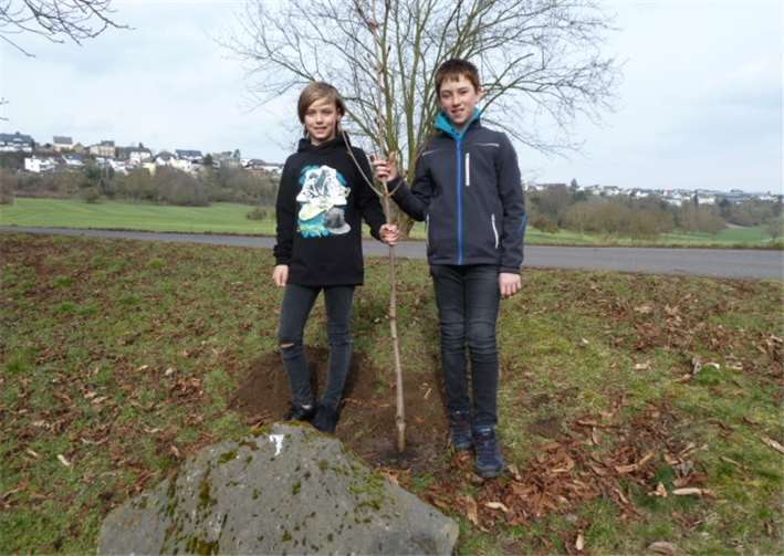 David und Lukas Lenz präsentieren stolz ihren Baum.