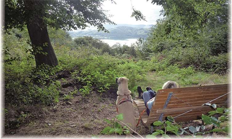 Defekte Bänke wurden beseitigt und durch neue bzw. überarbeitete Sitzgelegenheiten ersetzt. Diese können jetzt zu Erholungspausen während der Wanderung genutzt werden. privat