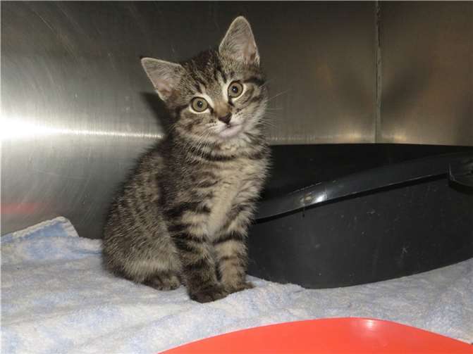 Delia.  Fotos: privat