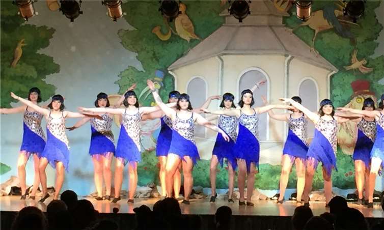 Dem Publikum wurden tolle Showtänze geboten. privat