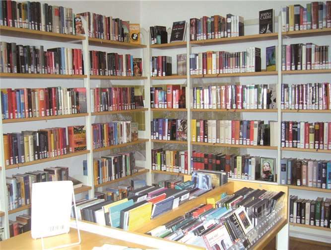 Demnächst können auch elektronische Bücher oder Zeitschriften ausgeliehen werden. privat