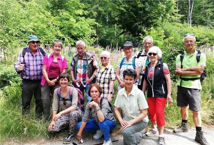 Den Aufstieg zur Pedelhütte bewältigt und darin verschnauft, breitete sich ein Feld mit Fingerhut aus. Fotos: Verkehrsverein