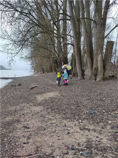 Den Auftakt bildeten die Steine an Rhein und Ahr. Foto: BUND Ahrweiler