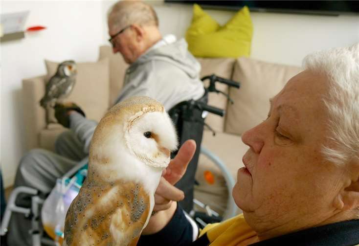 Den Bewohner schauten sich die Vögel genau an, ihr fielen die tollen Augen und die Gesichtsform auf.