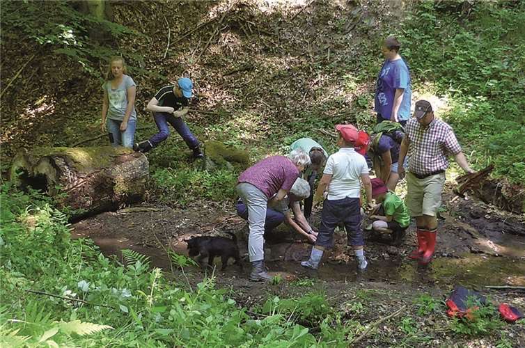 Den Dennbach nahmen die Teilnehmer des von der Kirchenscheune Kempenich organisierten Ausflugs genau unter die Lupe.privat