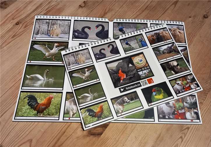 Den Kalender gibt es auch in diesem Jahr in zwei Größen.  Foto: privat