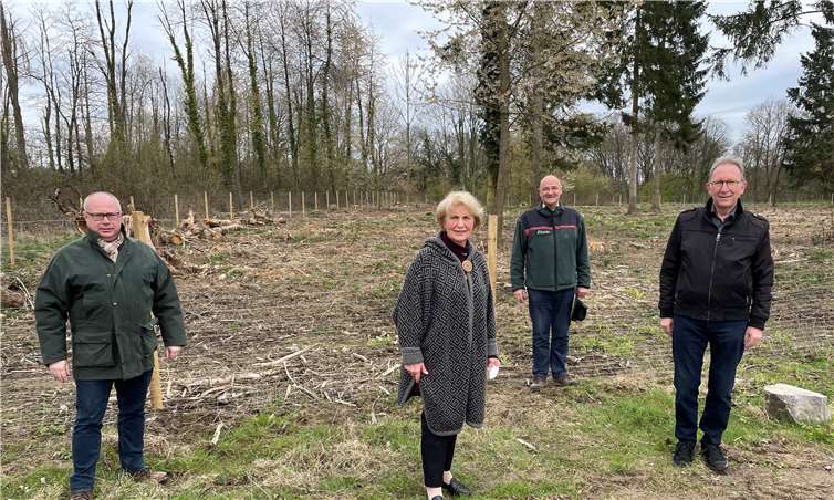 Den „Tag des Baumes“, am Sonntag, 25. April 2021, nahm Erwin Rüddel (r.) zum Anlass um sich mit der Kreiswaldbauverein-Vorsitzenden Dr. Gisela Born-Siebicke, Ortsbürgermeister Markus Fischer und Forstamtsleiter Uwe Hoffmann über die Waldsituation im Kreis Neuwied auszutauschen.Foto: Pierre Fischer / Team Rüddel