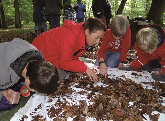 Den Wald als Naturforscher erleben können die Kids bei der Herbstwaldwoche. privat