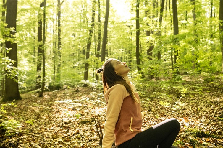 Den Wald mit allen Sinnen erleben und dabei neue Energie tanken können Teilnehmer beim Waldbaden.
