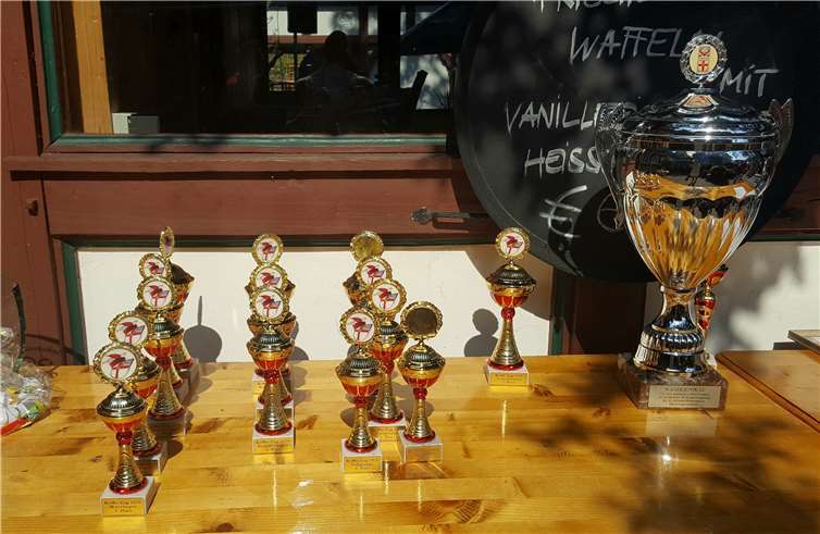 Den großen Wanderpokal für den schönsten Motivwagen ging an die „Zeitmaschine“/KaJunSe St. Peter Neuendorf/Wallersheim.