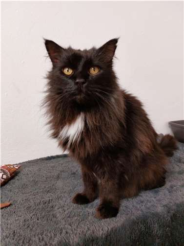 Der 14-jährige Camillo. Foto: privat