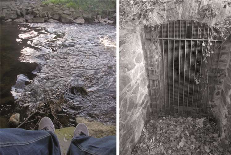 Der 15-jährige Jake K. gewann mit seinen Fotos den Wettbewerb bei den Jugendlichen.privat