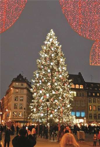 Der 30 m hoher Weihnachtsbaum auf dem Place Kléber.