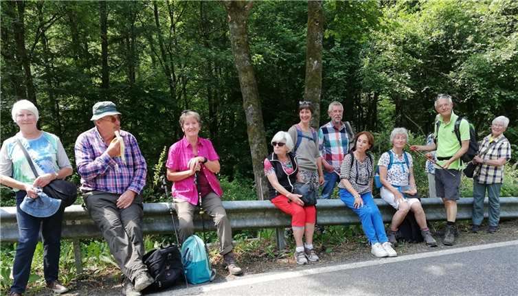 Der Abstieg aus dem Kathedralenwald zur L 309 wurde auch bewältigt.