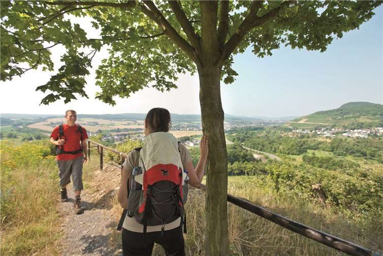 Der AhrSteig an der Ehlinger Ley. Ahrtal-Tourismus