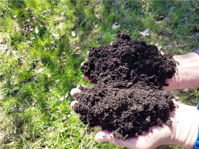 Der Aktionstag findet am 21. Mai statt. Quelle: Rhein-Lahn-Kreis