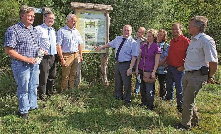 Wiedtalaue renaturiert