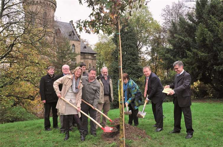 Der Amberbaum steht. Bürgermeister Wolfgang Kroeger hält das Stiftungsschild. RÜ