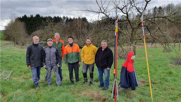 Der Anforderung zur Erhaltung alter Obstsorten wurde man im Kirchspiel Anhausen dadurch gerecht, dass in Meinborn ein Obstsortengarten angelegt wurde. Foto: privat