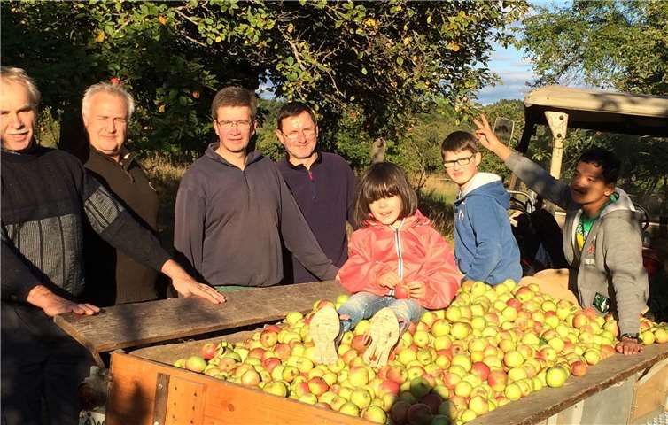 Der Apfel gehört in Deutschland zu den beliebtesten Baumobstarten. privat