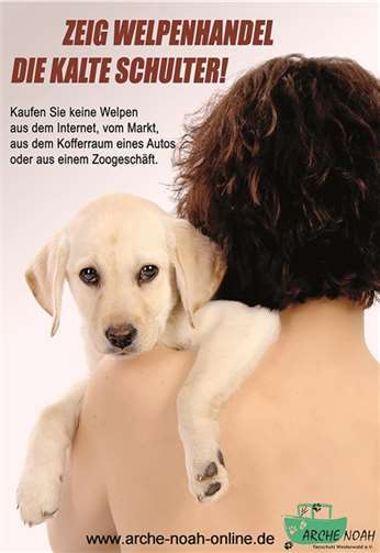 Der Arche Noah Tierschutz Westerwald rät, keine Welpen aus dem Internet, vom Markt, aus dem Kofferraum eines Autos oder aus einem Zoogeschäft zu kaufen. privat