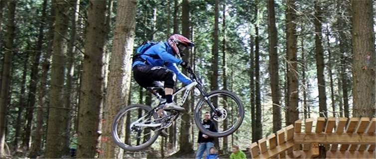 Der Aufsprung auf das neueste Element: die Box.