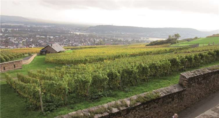 Der Ausblick von St. Hildegard.privat